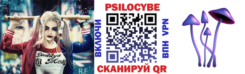 shop клад  Гатчина  Галлюциногенные грибы Magic Shrooms 