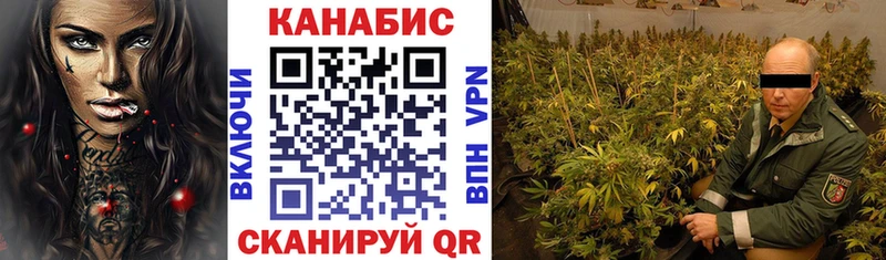 Бошки марихуана VHQ  OMG маркетплейс  Гатчина  где найти наркотики 